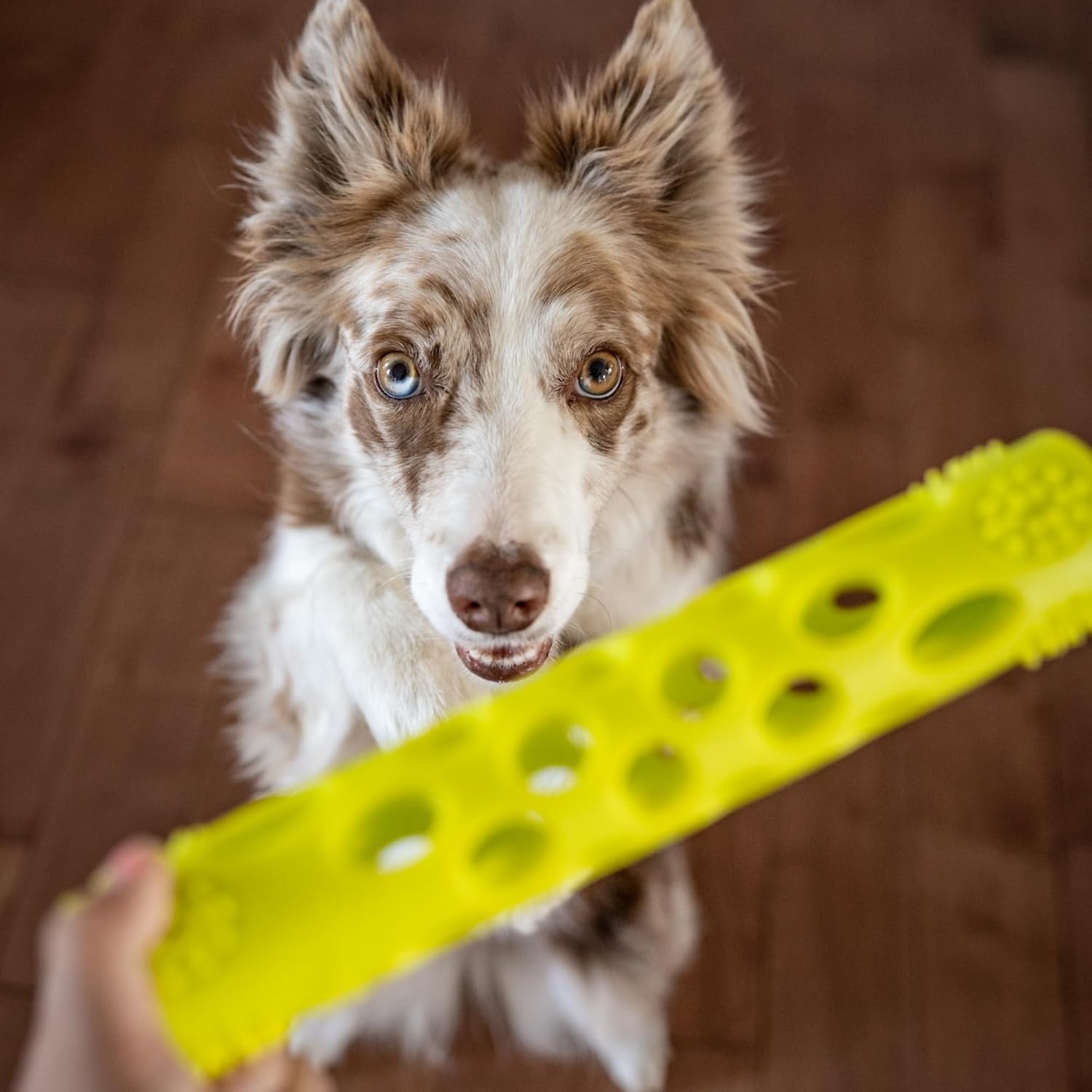 image:imageMessy Mutts Totally Pooched Huffn Puff Ball 25 TPR Puzzle Ball for Dogs 2in1 Interactive Toy and Tooth Cleaner GreenGreen