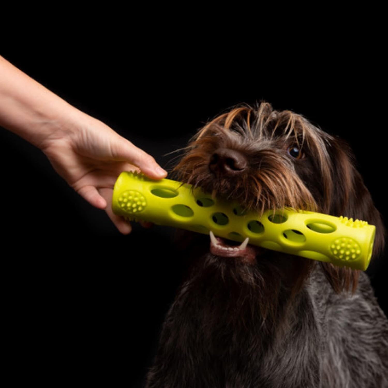 image:imageMessy Mutts Totally Pooched Huffn Puff Ball 25 TPR Puzzle Ball for Dogs 2in1 Interactive Toy and Tooth Cleaner GreenGreen