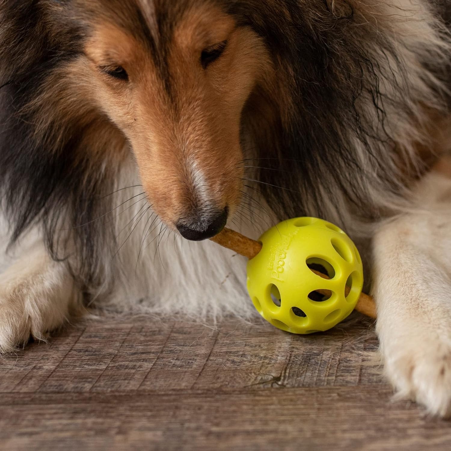 image:imageMessy Mutts Totally Pooched Huffn Puff Ball 25 TPR Puzzle Ball for Dogs 2in1 Interactive Toy and Tooth Cleaner GreenGreen