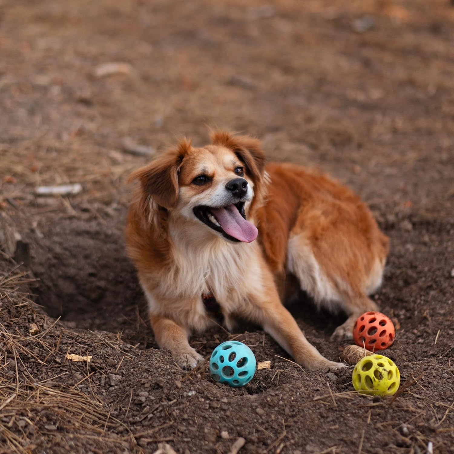 image:imageMessy Mutts Totally Pooched Huffn Puff Ball 25 TPR Puzzle Ball for Dogs 2in1 Interactive Toy and Tooth Cleaner GreenOrange