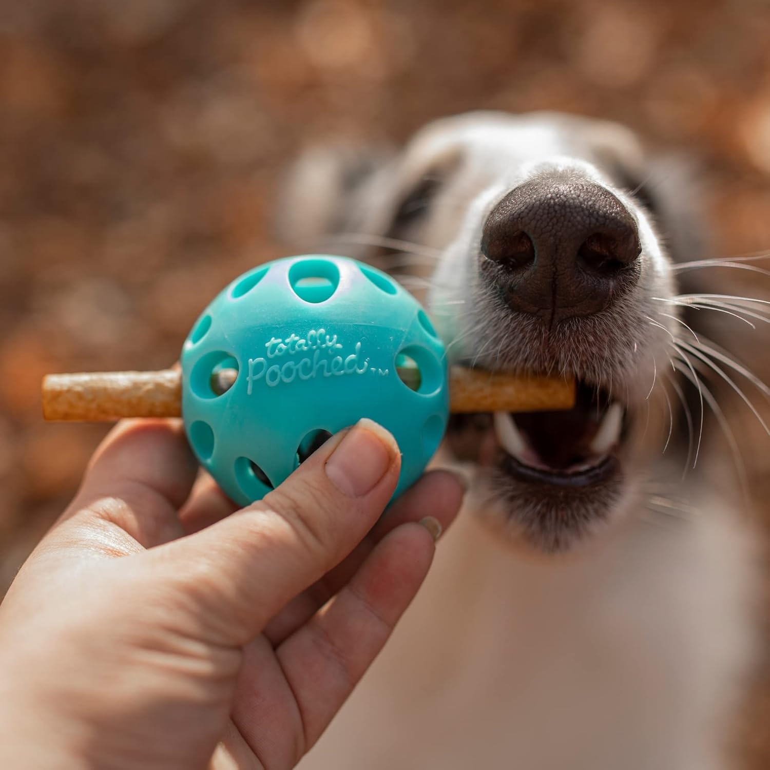 image:imageMessy Mutts Totally Pooched Huffn Puff Ball 25 TPR Puzzle Ball for Dogs 2in1 Interactive Toy and Tooth Cleaner GreenTeal