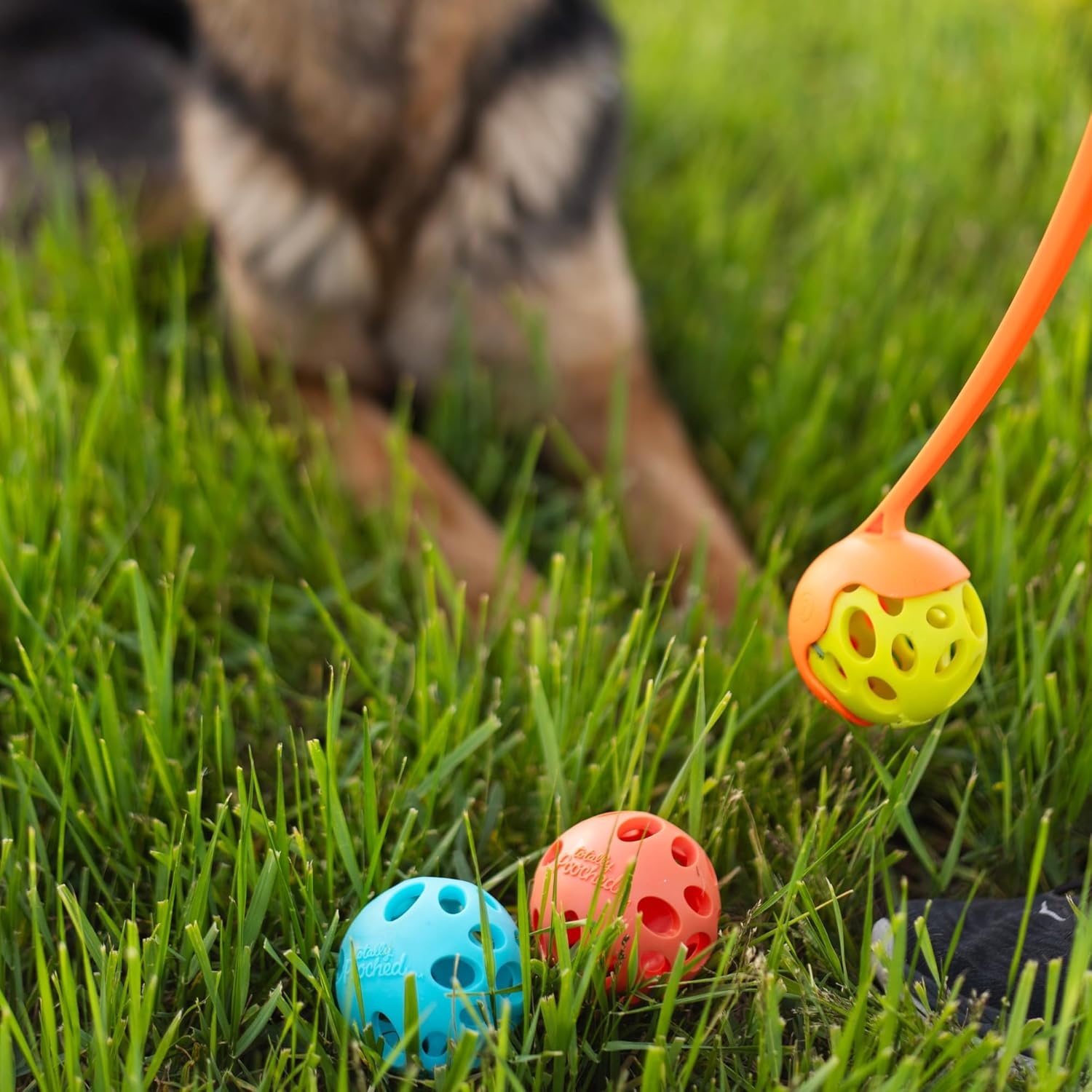 image:imageMessy Mutts Totally Pooched Huffn Puff Ball 25 TPR Puzzle Ball for Dogs 2in1 Interactive Toy and Tooth Cleaner GreenTeal
