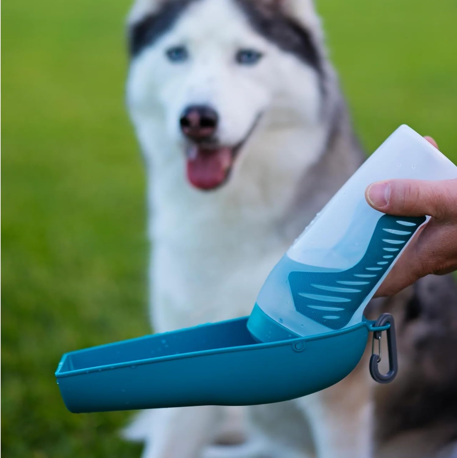 image:imageMessy Mutts Travel Water Bottle with Removable Bowl 16 oz 500 mL Teal Pet Portable Water Bowl and Bottle Lightweight Pet Travel Accessory