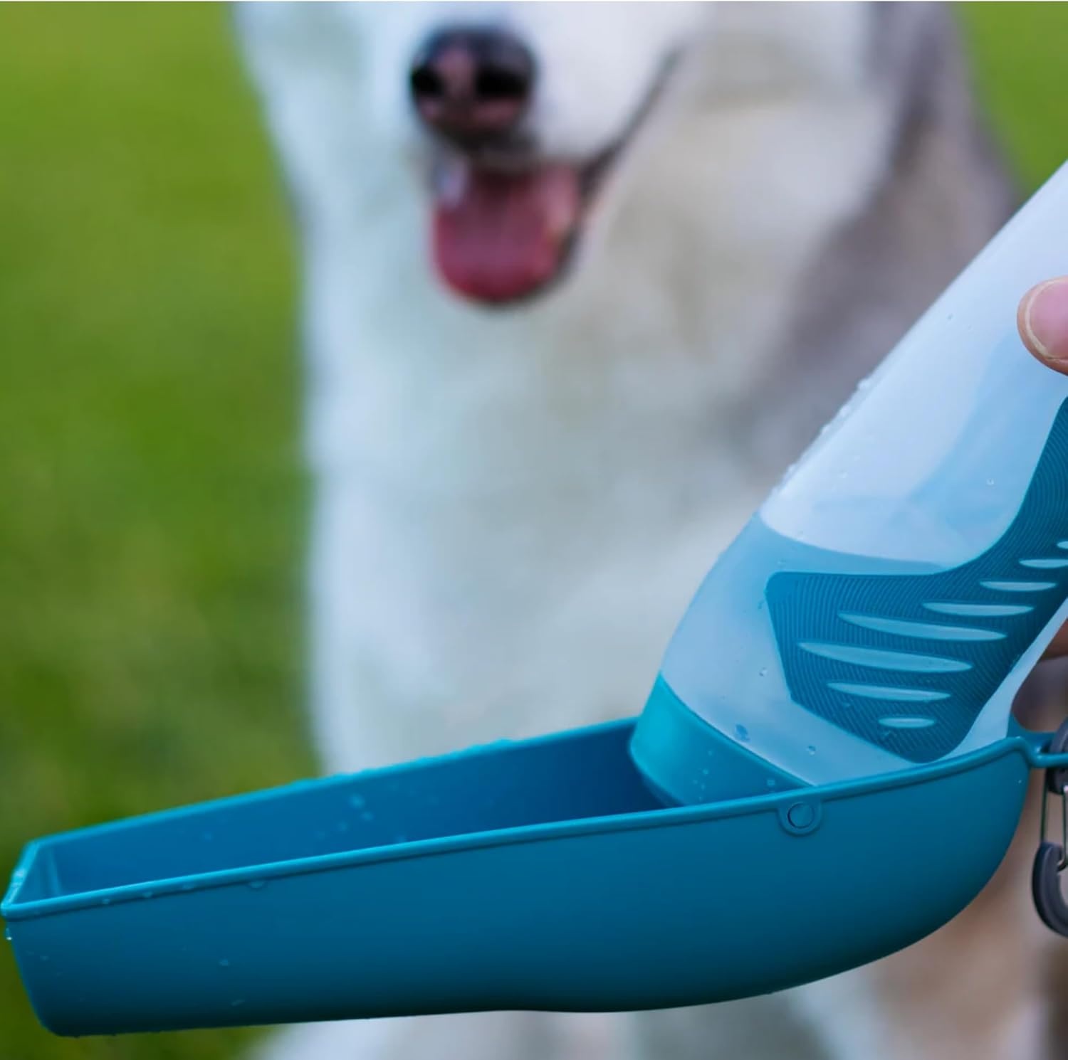 image:imageMessy Mutts Travel Water Bottle with Removable Bowl 16 oz 500 mL Teal Pet Portable Water Bowl and Bottle Lightweight Pet Travel Accessory