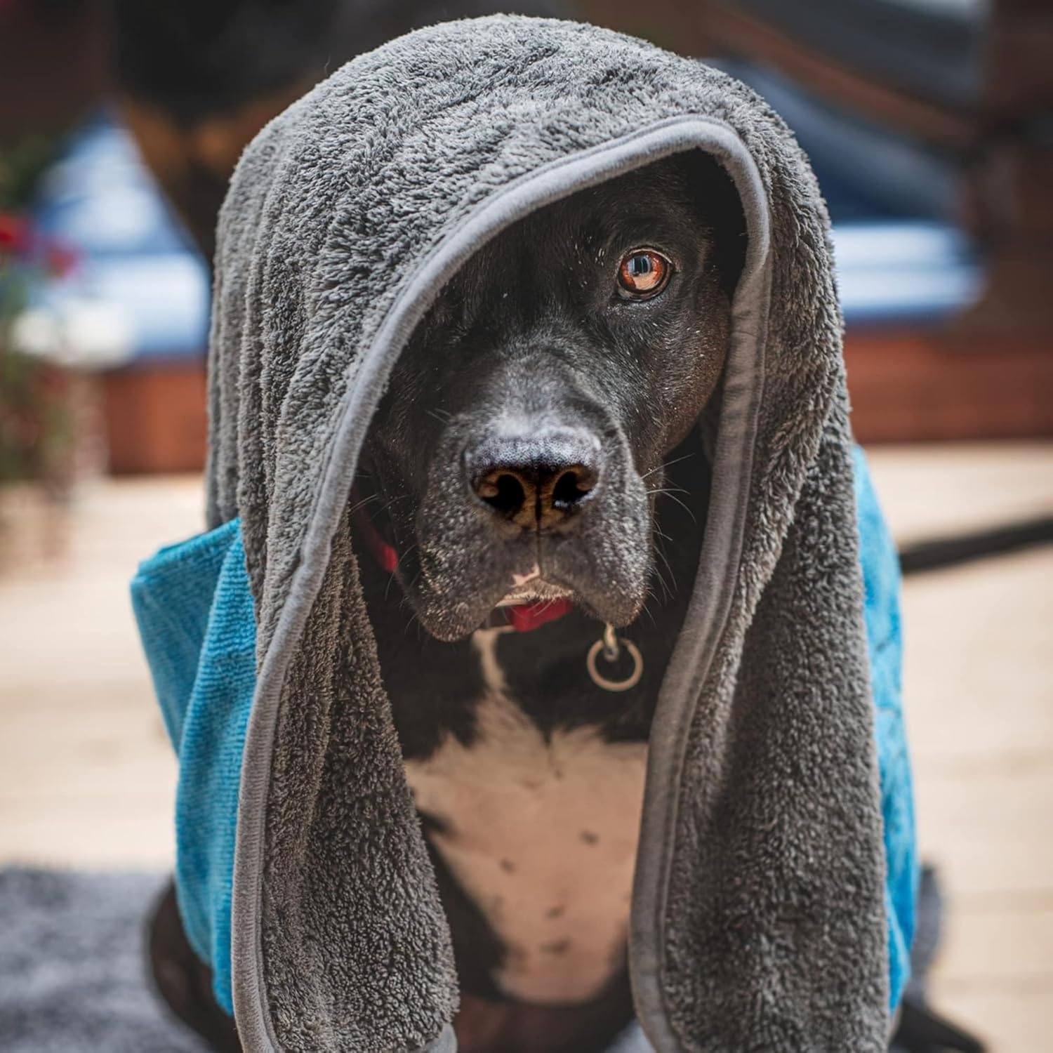 image:imageMessy Mutts Ultra Soft Microfiber Towel with Hand Pockets Super Absorbent Moisture Locking Soft Durable Plush Microfiber Dog Towel Machine Washable Dog ShammyMedium 20 x 32
