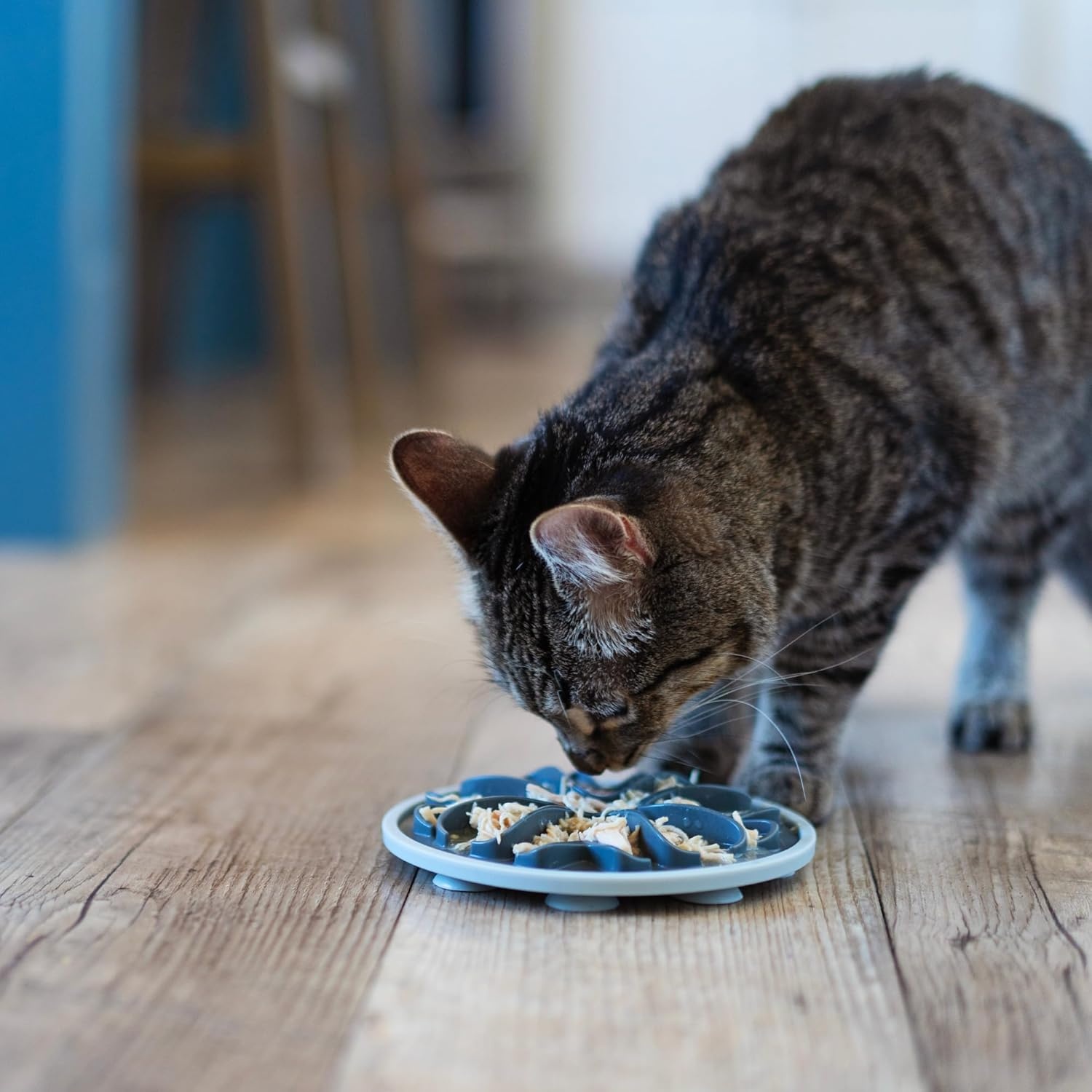 image:imageMessy Cats Interactive Round Slow Feeder Cool Grey 6 Puzzle Slow Feeder for Cats Suction Cup NonSlip Base Enrichment Food Dish for Slow Eating