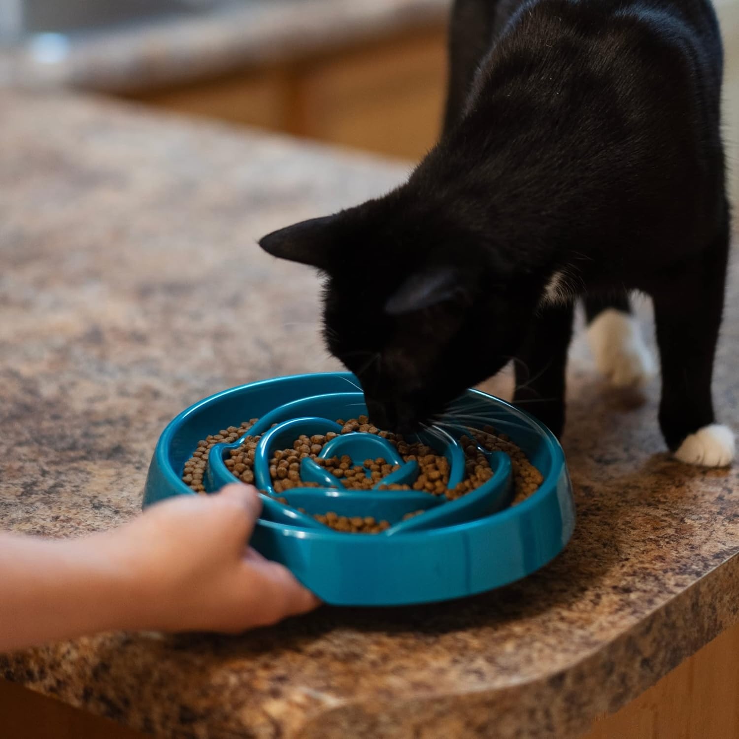 image:imageMessy Mutts Interactive Slow Feeder Puzzle Slow Feeder Dog or Cat Bowl Enrichment Food Dish to Slow Eating Prevent Bloating 8 x 13 175 Cup Cool GreyBlue