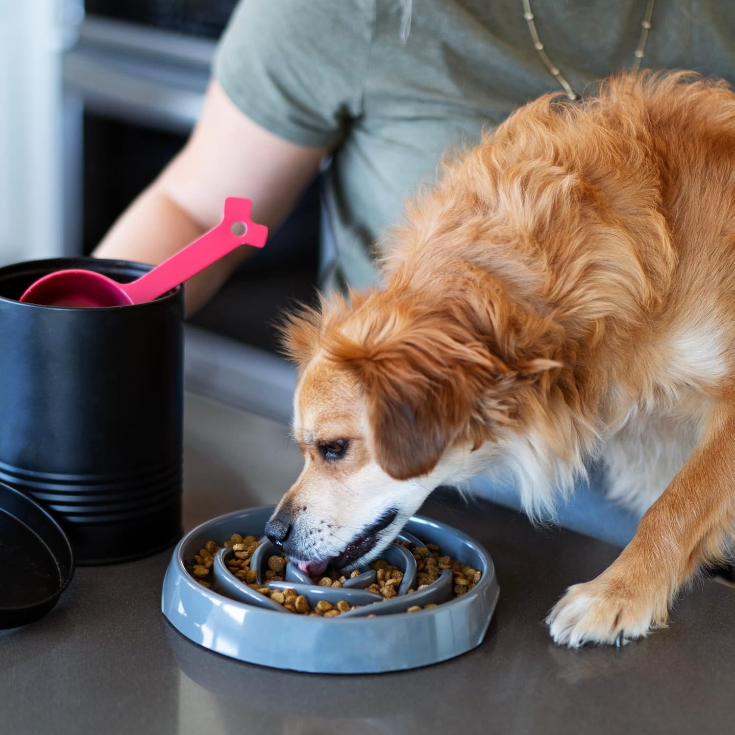 image:imageMessy Mutts Interactive Slow Feeder Puzzle Slow Feeder Dog or Cat Bowl Enrichment Food Dish to Slow Eating Prevent Bloating 8 x 13 175 Cup Cool GreyCool Grey