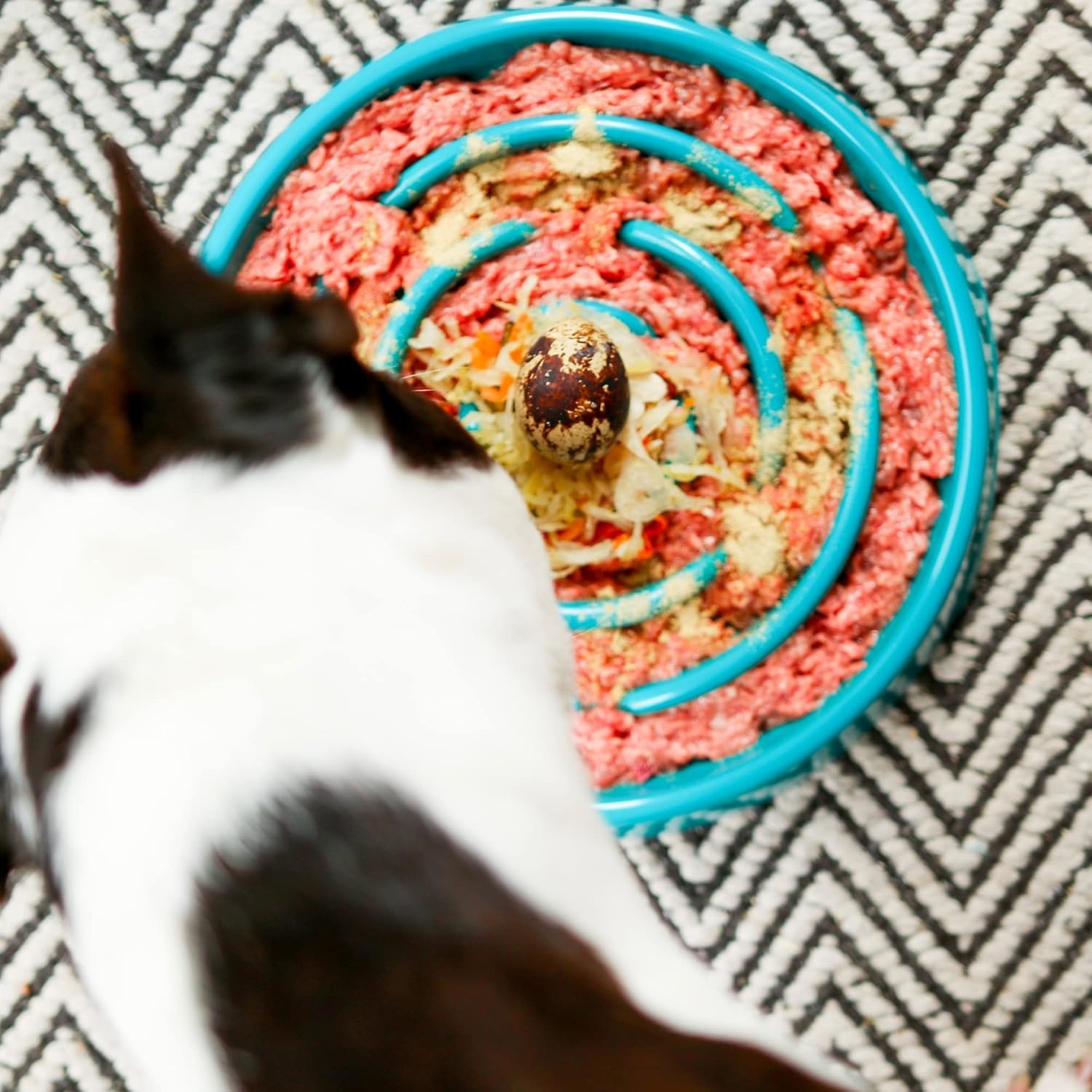 image:imageMessy Mutts Interactive Slow Feeder Puzzle Slow Feeder Dog or Cat Bowl Enrichment Food Dish to Slow Eating Prevent Bloating 8 x 13 175 Cup Cool GreyBlue