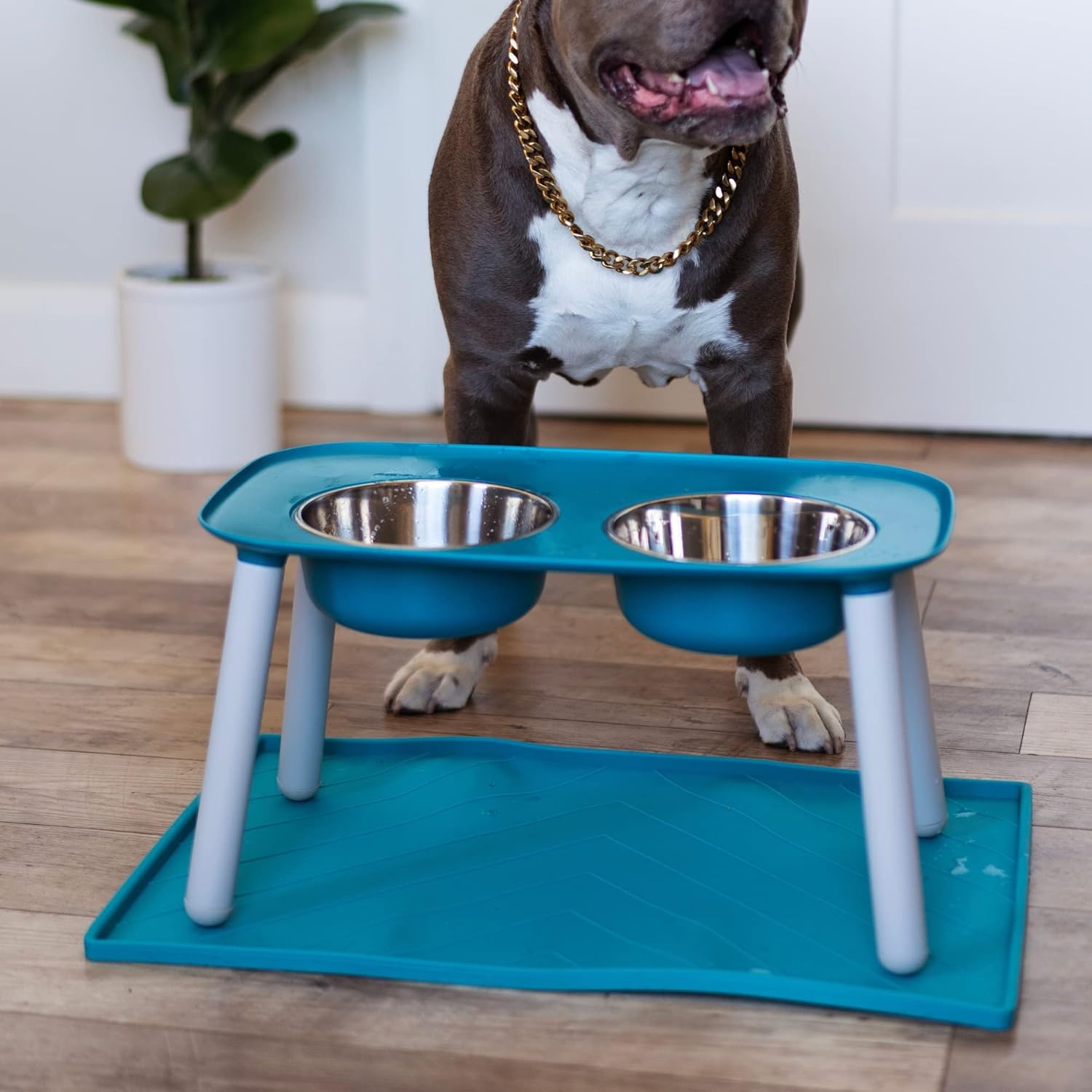 image:imageMessy Mutts Elevated Double Feeder with Stainless Bowls Adjustable Height 3 5 or 10 Adjustable Standing Feeder for Dogs 5 Cups per Bowl Dark GreyBlue