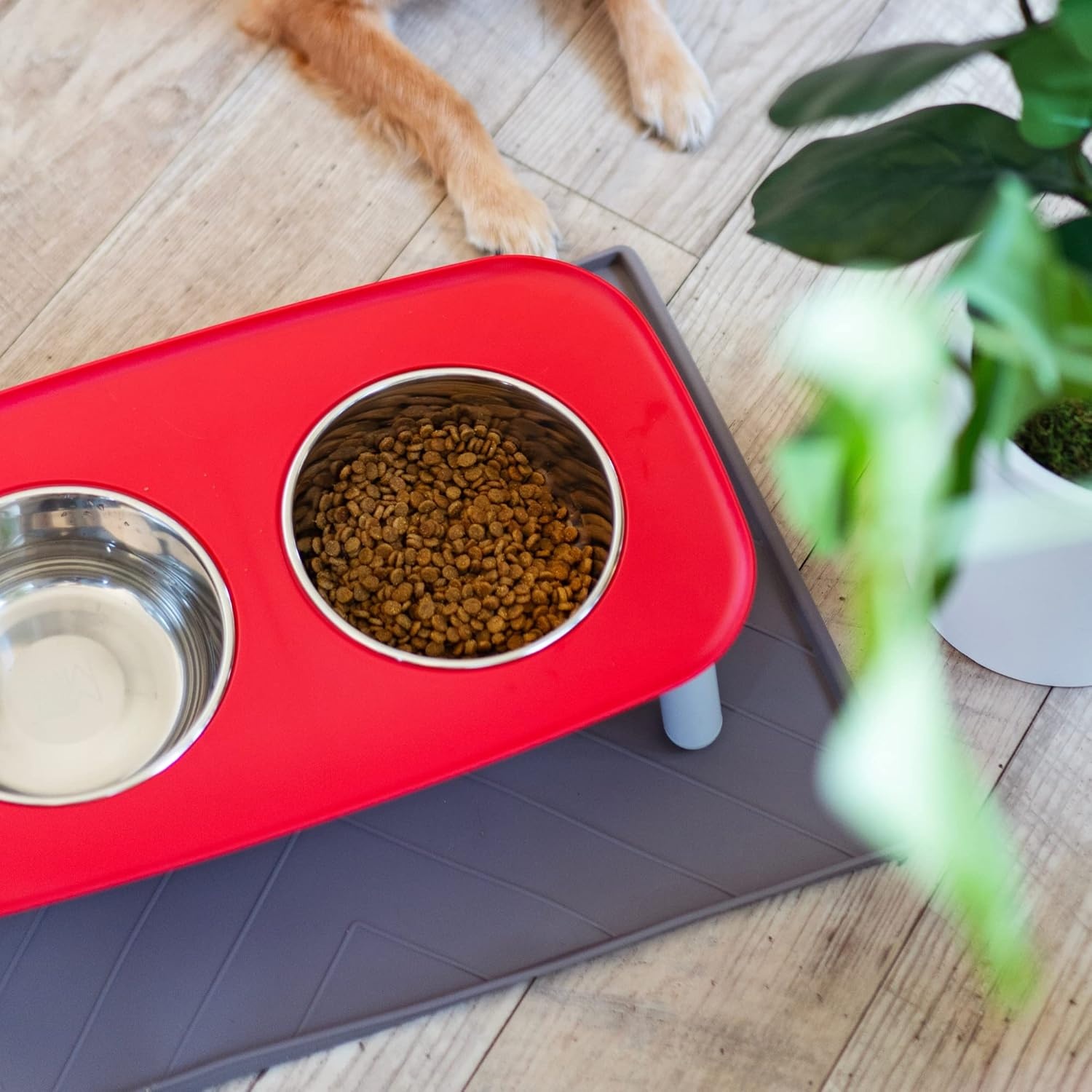 image:imageMessy Mutts Elevated Double Feeder with Stainless Bowls Adjustable Height 3 5 or 10 Adjustable Standing Feeder for Dogs 5 Cups per Bowl Dark GreyWatermelon
