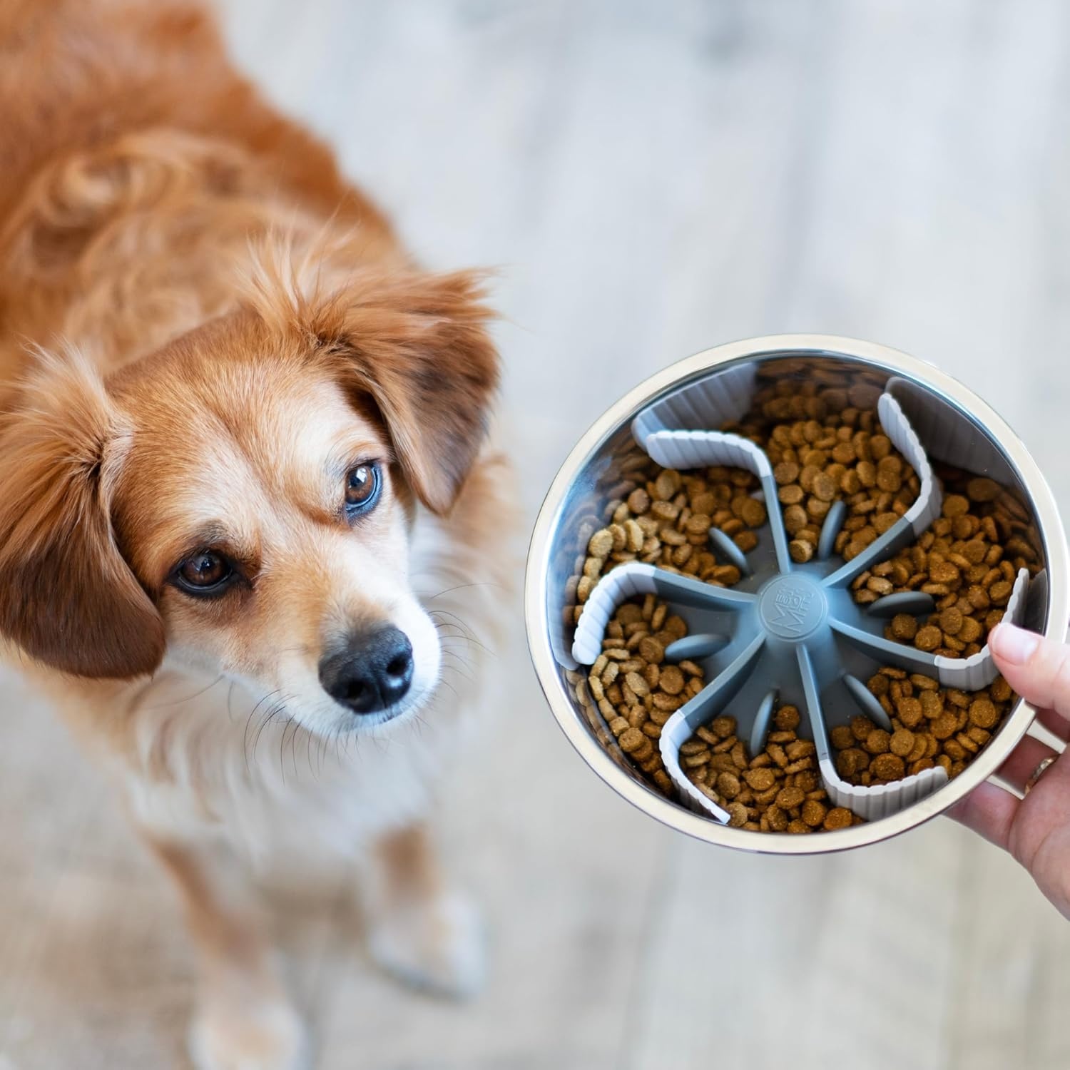 image:imageMessy Mutts Slow Feeder Bowl Insert with Suction Slow Feeder Insert for DogCat Bowls One Size Fits Most Bowls Slow Feeding Accessory 75 Bowl Insert