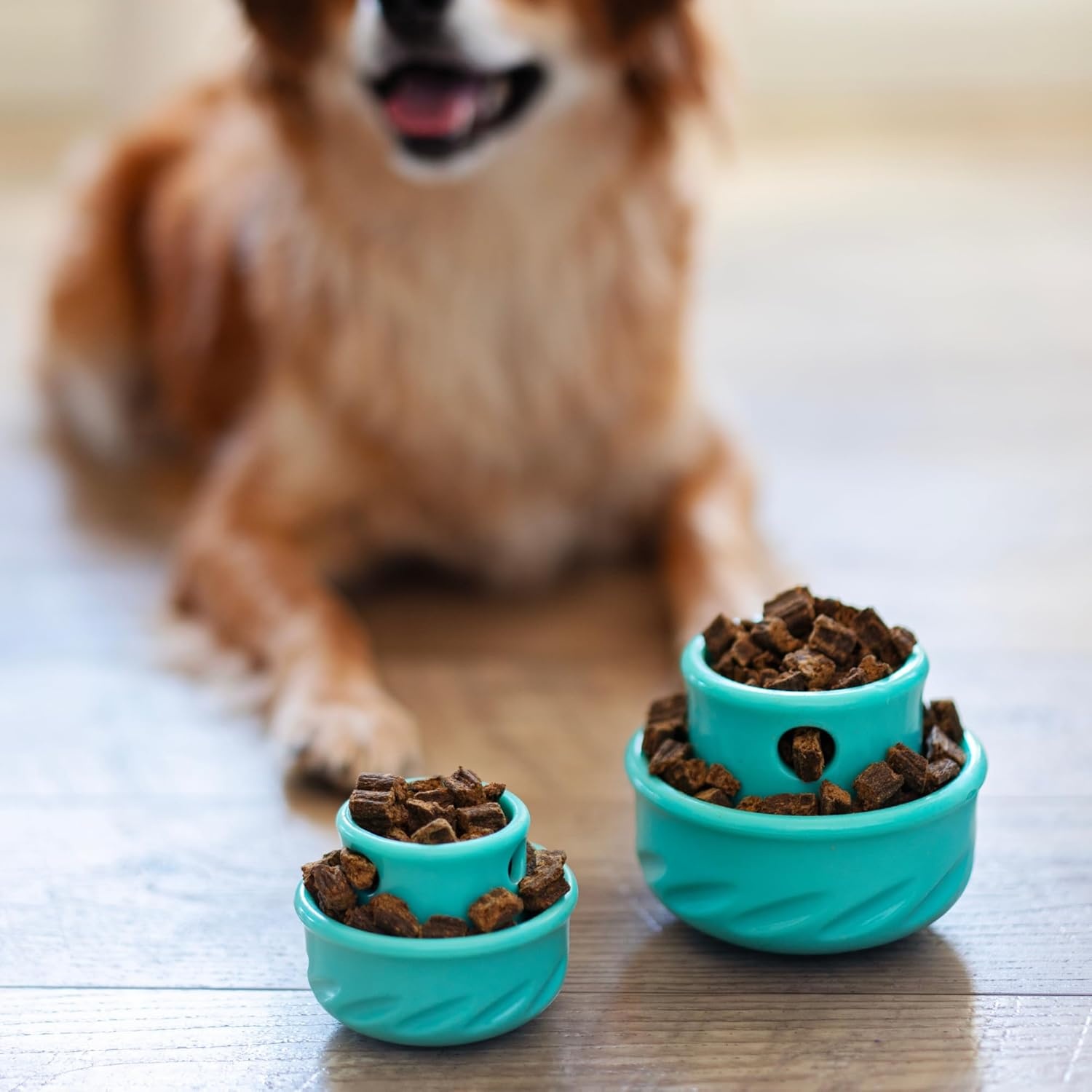 image:imageMessy Mutts Totally Pooched Puzzle n Play Mushroom Stuffable Treat Toy for Dogs Durable TPR 325 x 25 Small Dog Toy OrangeTeal