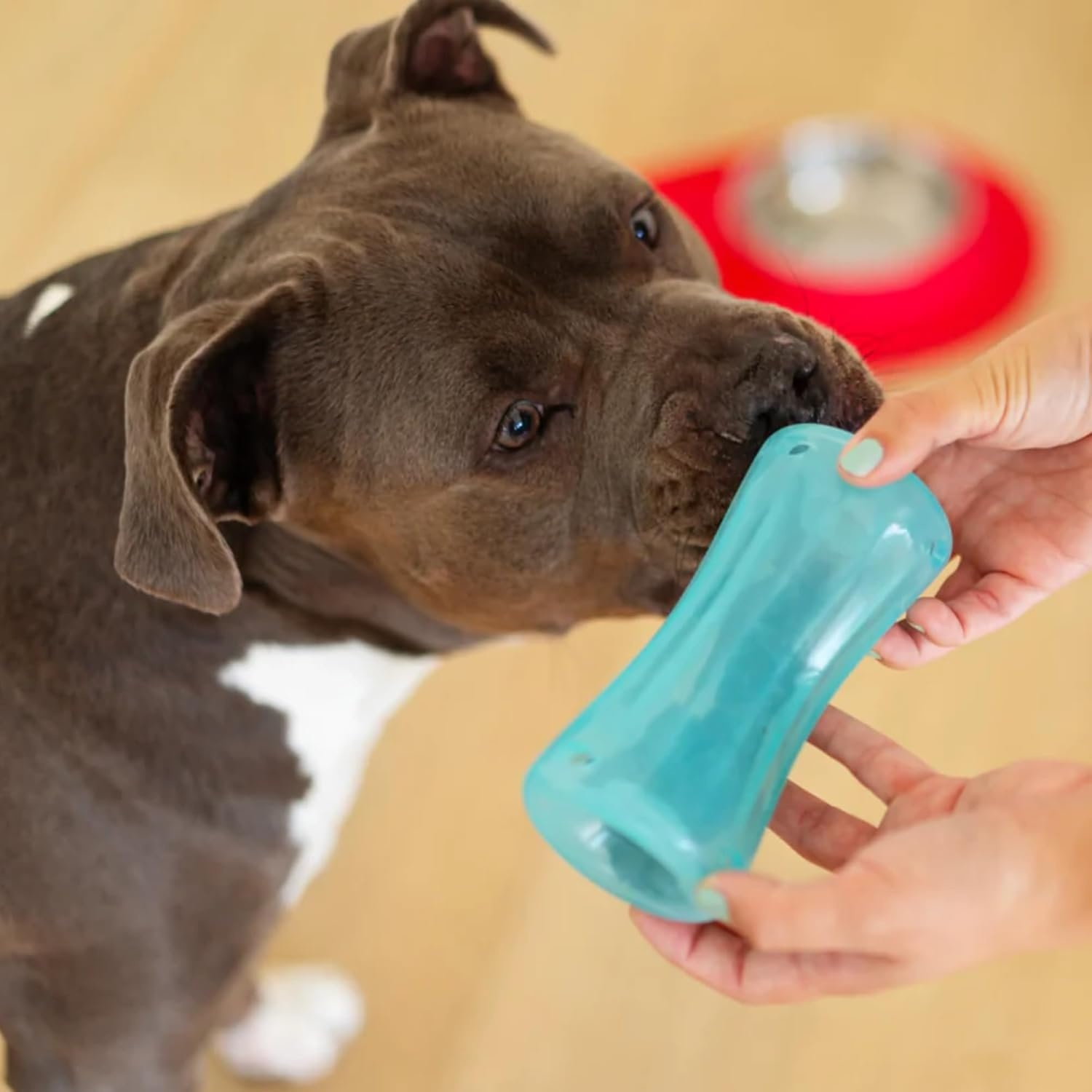 image:imageMessy Mutts Stuffn Wobble Ball 5 Fillable Dog Toy Interactive Puzzle Ball for Dogs Engaging Treat Dispensing Toy for DogsBlue