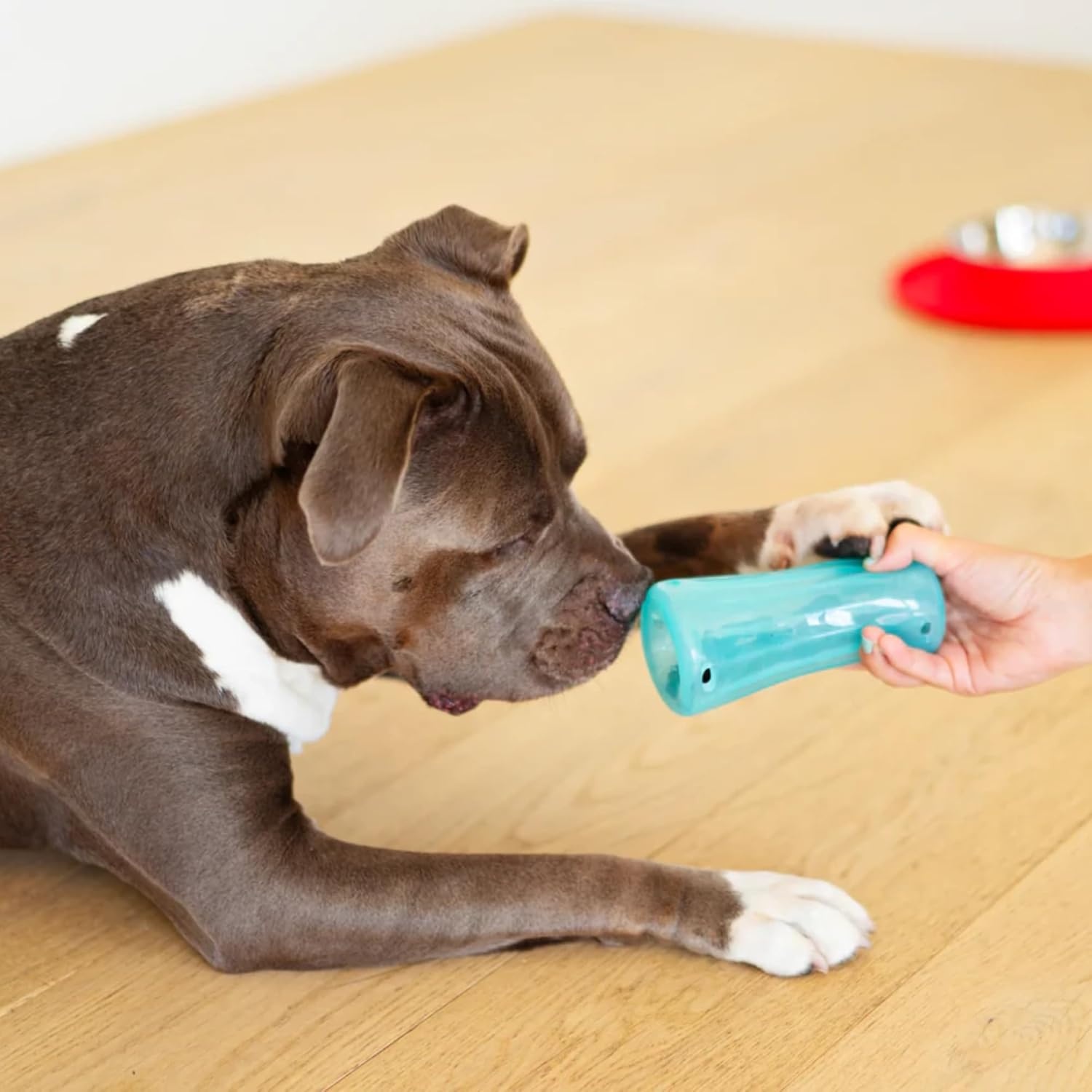 image:imageMessy Mutts Stuffn Wobble Ball 5 Fillable Dog Toy Interactive Puzzle Ball for Dogs Engaging Treat Dispensing Toy for DogsBlue