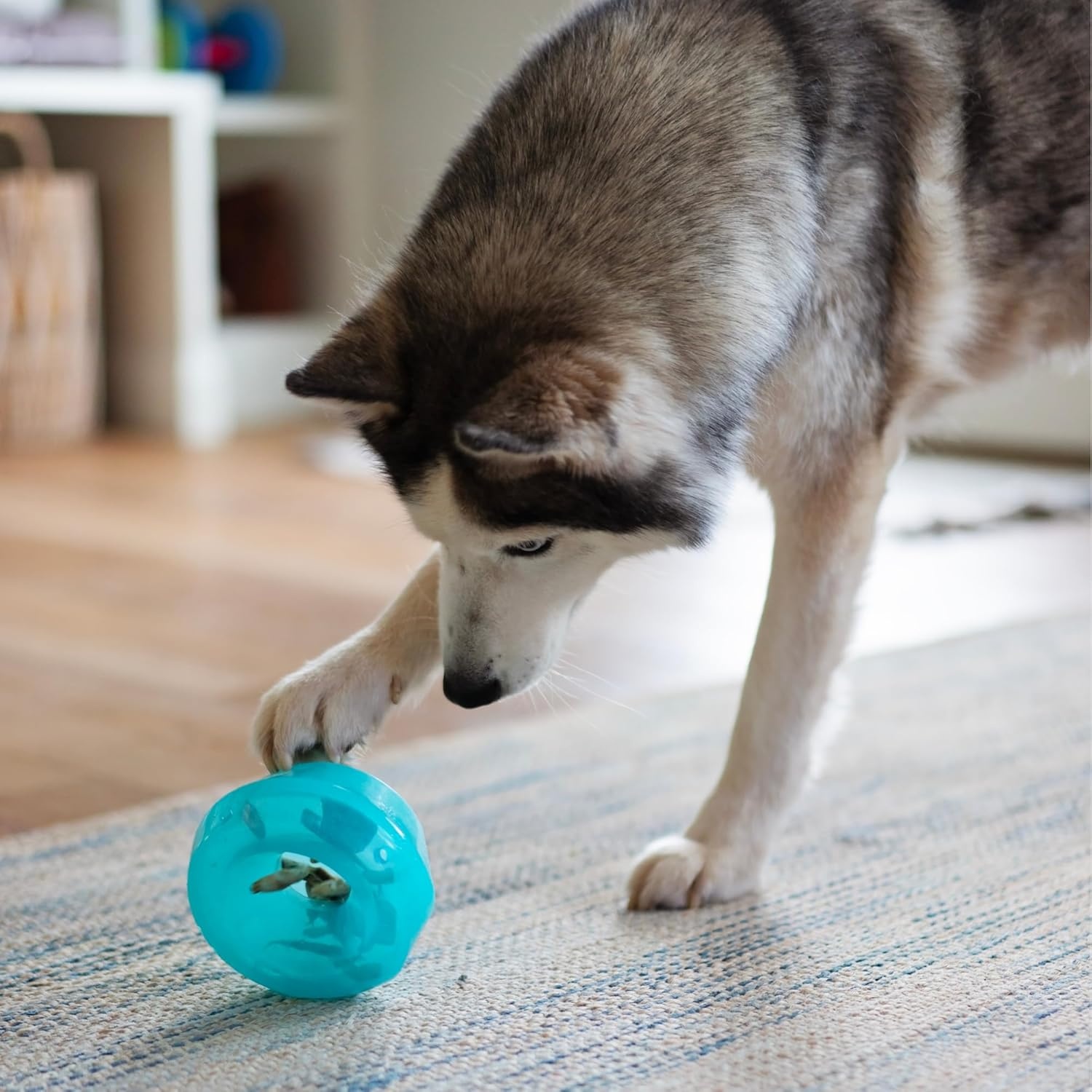 image:imageMessy Mutts Stuffn Wobble Ball 5 Fillable Dog Toy Interactive Puzzle Ball for Dogs Engaging Treat Dispensing Toy for DogsBlue