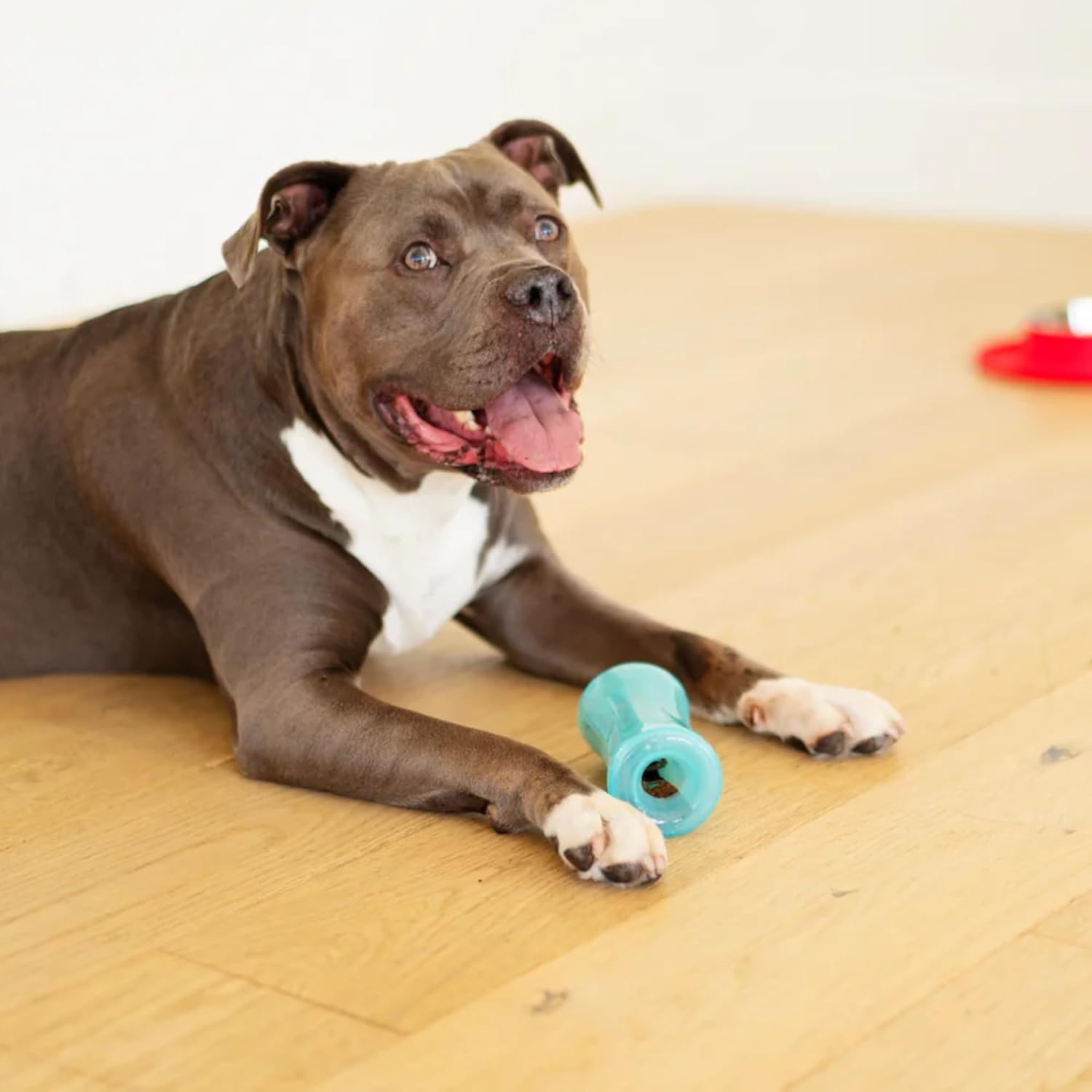 image:imageMessy Mutts Stuffn Wobble Ball 5 Fillable Dog Toy Interactive Puzzle Ball for Dogs Engaging Treat Dispensing Toy for DogsBlue