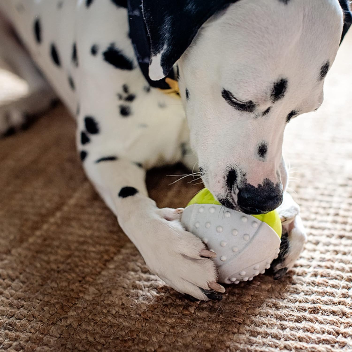 image:imageMessy Mutts Totally Pooched Catch n Squeak Ball 35 Foam Rubber Puzzle Toy for Dogs 2in1 Interactive Toy and Tooth Cleaner GreyTealGrey Green