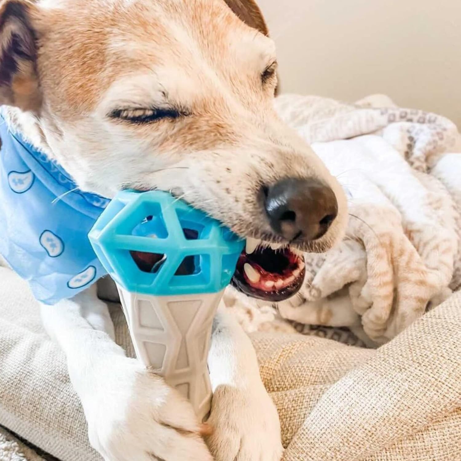 image:imageMessy Mutts Totally Pooched Flex n Squeak Dumbbell 7 Foam Rubber Dog Toy with Squeaker Made for Tough Chewers Interactive Treat Puzzle for Dogs GreyGreenGrey Teal
