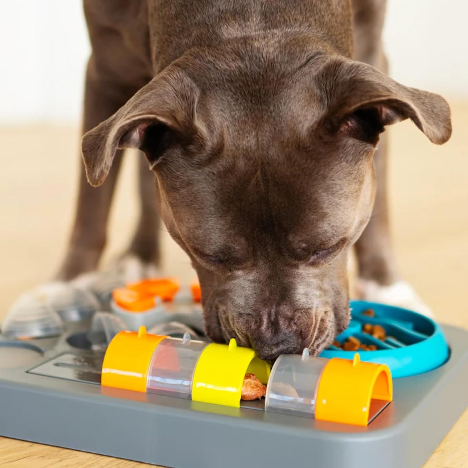 image:imageMessy Mutts Flipn Slide Puzzler Medium 125 x 125 GreyLarge